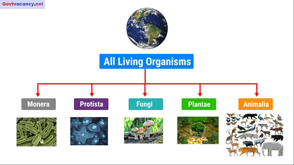 what-is-classification-of-living-organisms-pak-muz